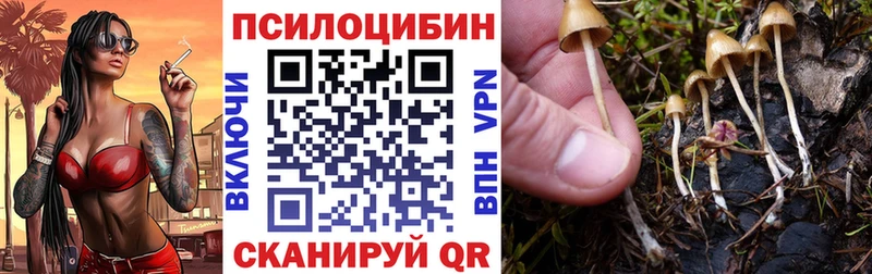 МЕГА зеркало  Озёрск  Псилоцибиновые грибы ЛСД 